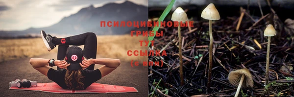 стаф Алексеевка