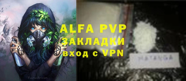 индика Сатка