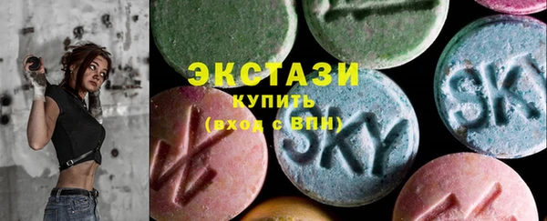 индика Сатка