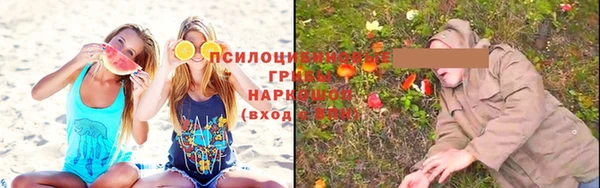 круглые Алексин